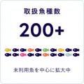 約310万食分の学校給食相当行き場のない魚「未利用魚