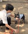 【イベントレポート】Dog Hug Life、横浜開港祭メイン