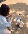 【イベントレポート】Dog Hug Life、横浜開港祭メイン