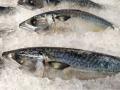 かいものパレット、リニューアル後初の「楽天スーパー