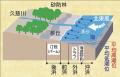 ハナハタザオ（絶滅危惧I類指定）が咲き始めました（