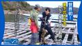 MSCジャパン「豊かな海をいつまでも。選ぼうMSCラベル