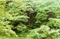 自然の懐に身を委ね、「奥多摩の地に暮らすように泊ま