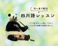 【3日間限定】写真集『シャンシャン在東京――記憶に残