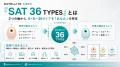 SATELLITE HOLDINGS　ビジネスタイプ診断「SAT 36 TYP
