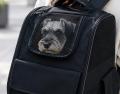 【ペットリュック】“欲しい機能、全部入り” 折りたた