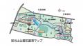 【埼玉県狭山市】智光山公園の花菖蒲園が美しい季節へ