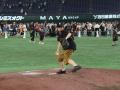 新3地区制で生まれ変わったプロ野球二軍公式戦！『フ