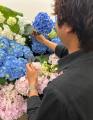 紫陽花祭壇が5年で3.8倍 「記憶に残る葬儀」ニーズ拡