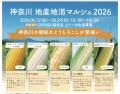 神奈川の“トウモロコシ”が“海老名”に集まる「神奈川 