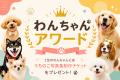 「脱・生成AI」実在のわんこ限定！参加できる出版『犬