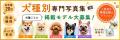 「脱・生成AI」実在のわんこ限定！参加できる出版『犬
