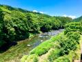 岐阜の鮎、いよいよ解禁！4つの清流の「天然鮎」が、