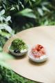 【荻窪三庭園】お客様参加型イベント「荻窪三庭園　七