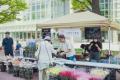 札幌中心部を彩る市民参加型アートイベント「サッポロ