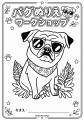 左側だけ塗られていないパグ「ひだりパグ」、絵本制作