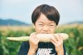 糖度20度超えの白いとうもろこし「京都舞コーン」を畑