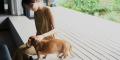 愛犬との旅をもっと身近に。愛犬と泊まれるプライベー