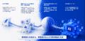 Splean、Internnectグループとの事業統合および「Inte Splean、Internnectグループとの事業統合および「Inte