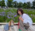 「全国みどりと花のフェアかつしか」が 開催期間の折