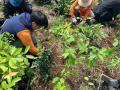 365本の木を植える「クリクラの森プロジェクト」湘南 365本の木を植える「クリクラの森プロジェクト」湘南