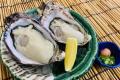 【兵庫】夏に味わうブランド牡蠣