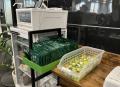 2026年2月に健康企業宣言、早期の「健康優良企業」の 2026年2月に健康企業宣言、早期の「健康優良企業」の