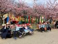 未来へ一歩！卒園遠足と小学校交流