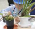 【阪急うめだ本店】「阪急 植物博覧会」6月24日(水)よ