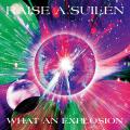 RAISE A SUILEN 15th Single「WHAT AN EXPLOSION」本 RAISE A SUILEN 15th Single「WHAT AN EXPLOSION」本