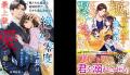 女性向け恋愛小説レーベル「ベリーズ文庫」 御曹司、 女性向け恋愛小説レーベル「ベリーズ文庫」 御曹司、
