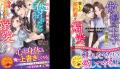 女性向け恋愛小説レーベル「ベリーズ文庫」 御曹司、 女性向け恋愛小説レーベル「ベリーズ文庫」 御曹司、