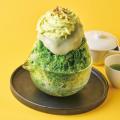 初参加5店舗を含む、全16店舗が集結!夏を彩るスイー 初参加5店舗を含む、全16店舗が集結!夏を彩るスイー