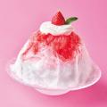 初参加5店舗を含む、全16店舗が集結!夏を彩るスイー 初参加5店舗を含む、全16店舗が集結!夏を彩るスイー