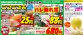 【6月13日開幕】鳥取県の夏の味覚「大栄スイカ」utf-8