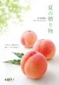 創業100年の“目利き力”が選ぶ夏の贈り物 フルーツシ 創業100年の“目利き力”が選ぶ夏の贈り物 フルーツシ