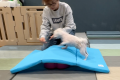 自宅で愛犬の運動習慣を支える三つ折りマット「AirSlo 自宅で愛犬の運動習慣を支える三つ折りマット「AirSlo