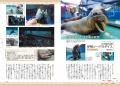 圧倒的な「水塊」に心ごと浸る! 『新版 全館訪問取 圧倒的な「水塊」に心ごと浸る! 『新版 全館訪問取