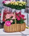 母の日ギフト提案が好評 デュメンオレンジ、千葉パッ