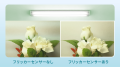 「arrows We3」をauおよびUQ mobileから2026年6utf-8 「arrows We3」をauおよびUQ mobileから2026年6utf-8