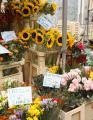 『FUDGE特別編集　THE FLOWER BOOK』発売