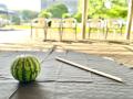 昨年比8倍のヒット企画が夏仕様に！「混雑回避コスパ