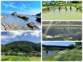 「美容室は自然を汚すしかないのか」──176人の共感が