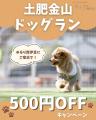 静岡・西伊豆の愛犬宿×土肥金山コラボキャンペーン実