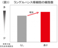 ノエビアグループ、北海道産丸大豆「音更大袖」の『豆