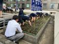 今年が最後の米作り！自社ビル屋上「白鶴銀座天空農園
