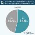ネットページへの不信感、約55%が ネットページへの不信感、約55%が