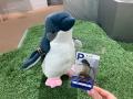 北海道で唯一*の常設展示、“世界一小さなペンギン”の