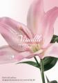 CANDY TUNE 村川緋杏のアパレルブランド「Visudlle」