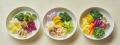 セルフコントロール食「#100ミール」、単品パーツ5個